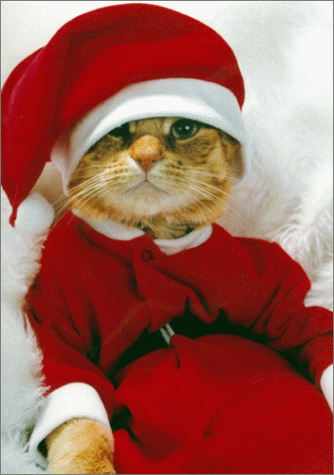 christmaskitty.gif