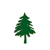 Circle of the Forest.png