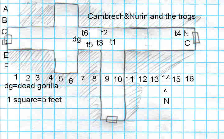 cn1.jpg