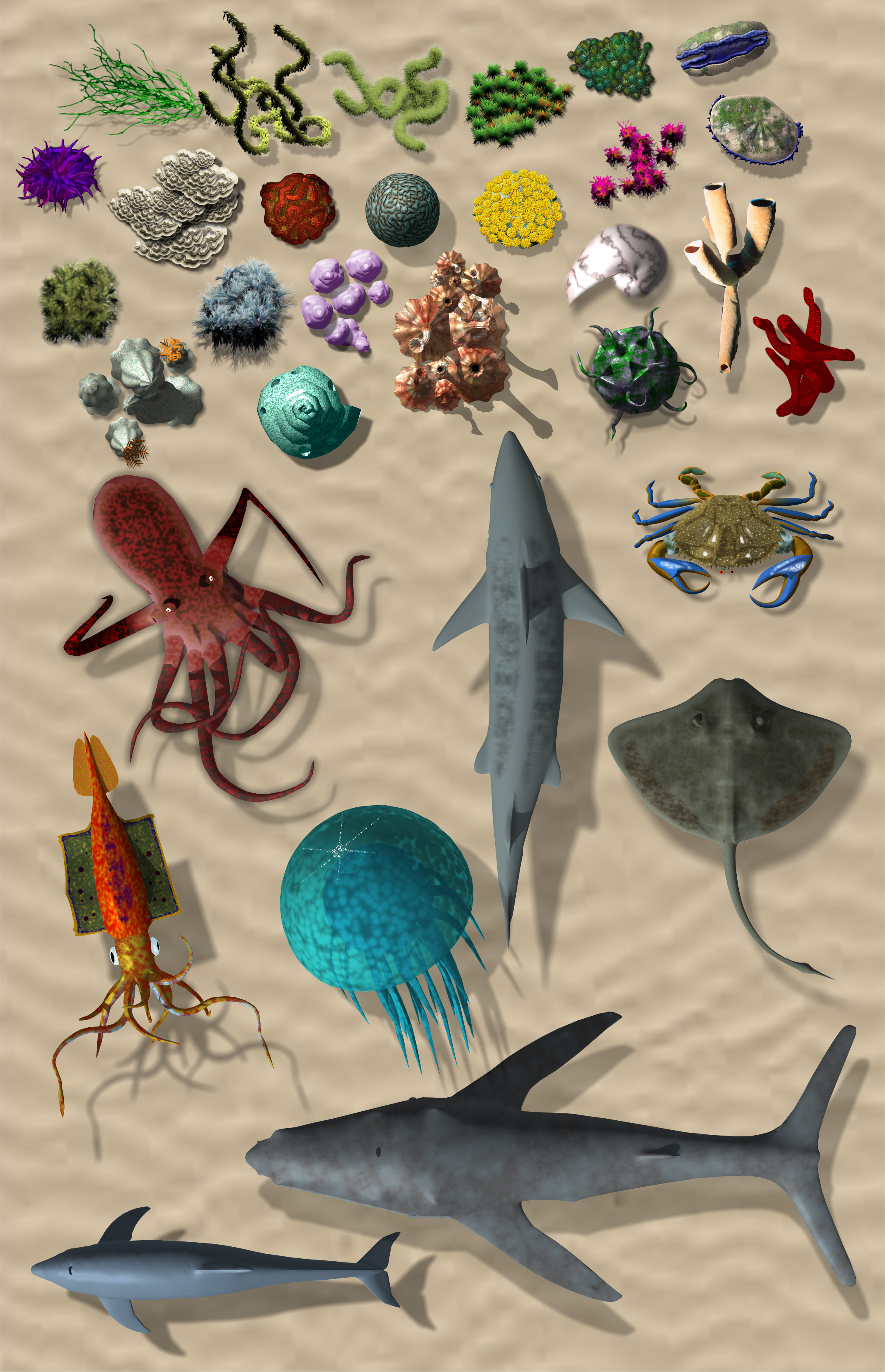 coral-reef-test.jpg