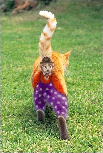 costume1.JPG