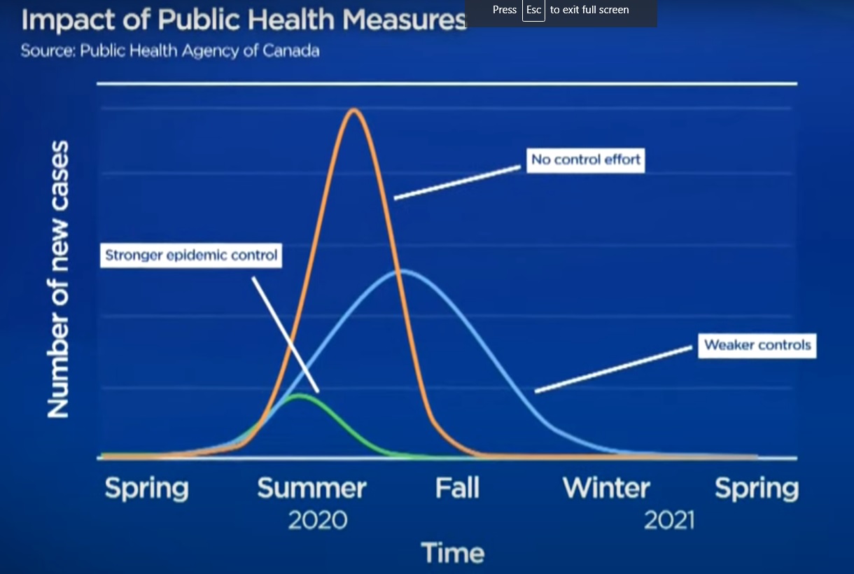 covid19 projections.jpg