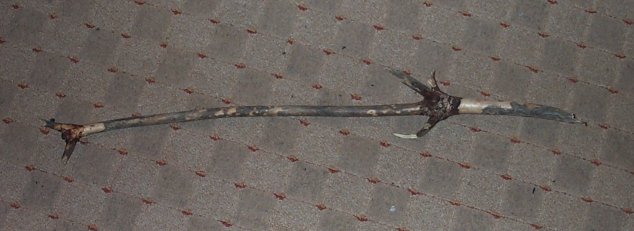 Craigs day out plus sticks (and him of course) 013.jpg