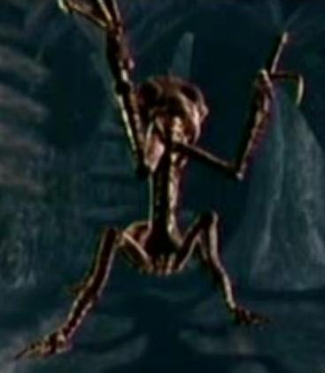 creature.JPG