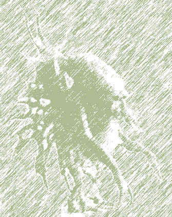 cthulpen.jpg