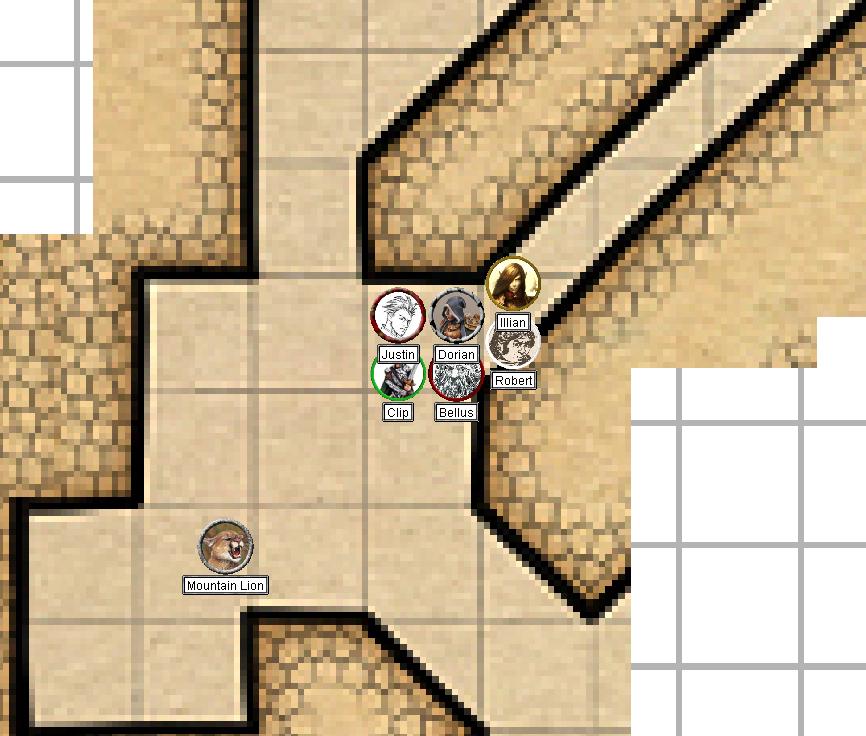 DaD Combat Mt Lion 2 Rd1.JPG