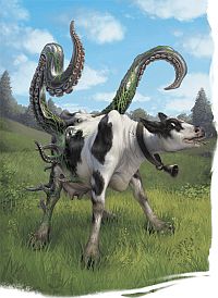 daisy_the_cow.jpg