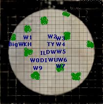 darkwolves1.jpg