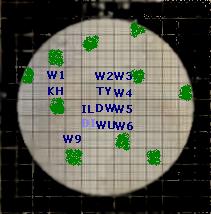 darkwolves2.jpg