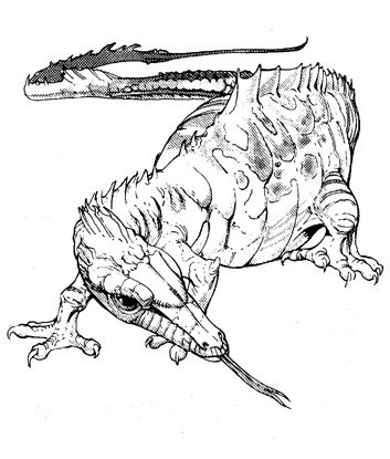 darter.jpg