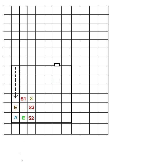 DD-Basement.JPG
