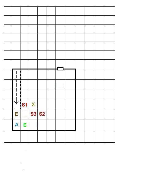 DD-Basement.JPG