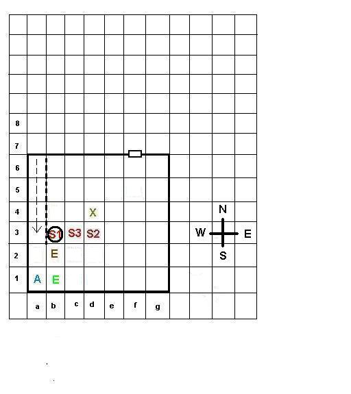 DD-Basement.JPG