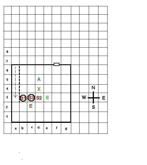 DD-Basement.JPG