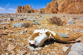 desert.jpg