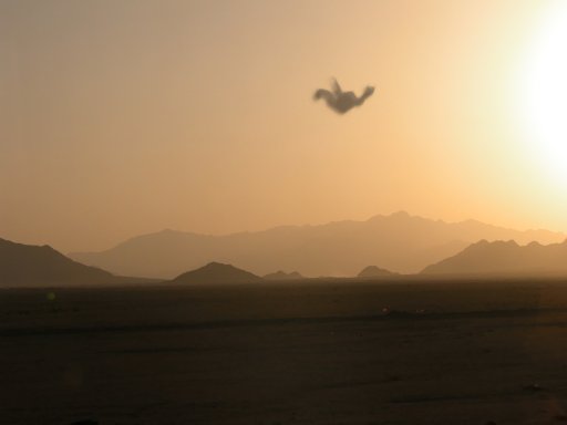 DesertView.jpg