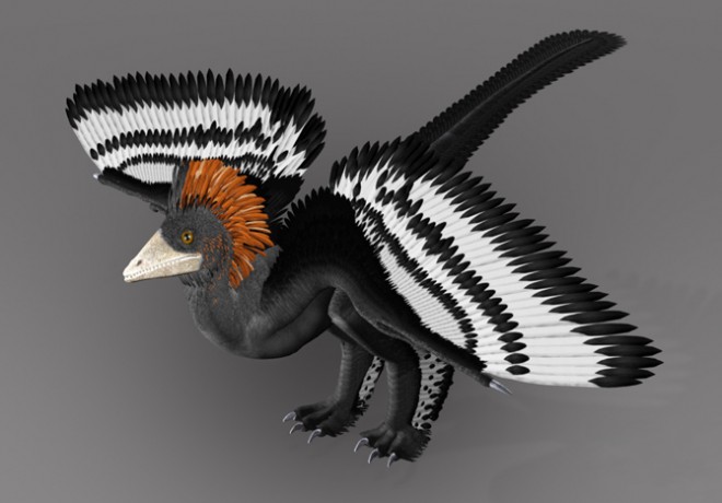 dinosaur_feathers2-660x460.jpg