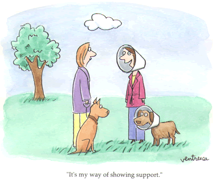 dog_funnel.gif