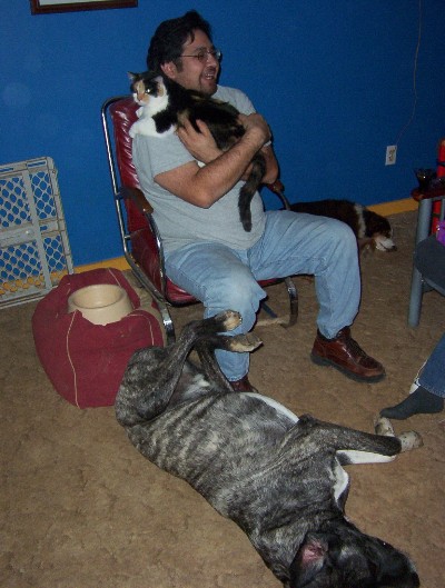dogskade.JPG