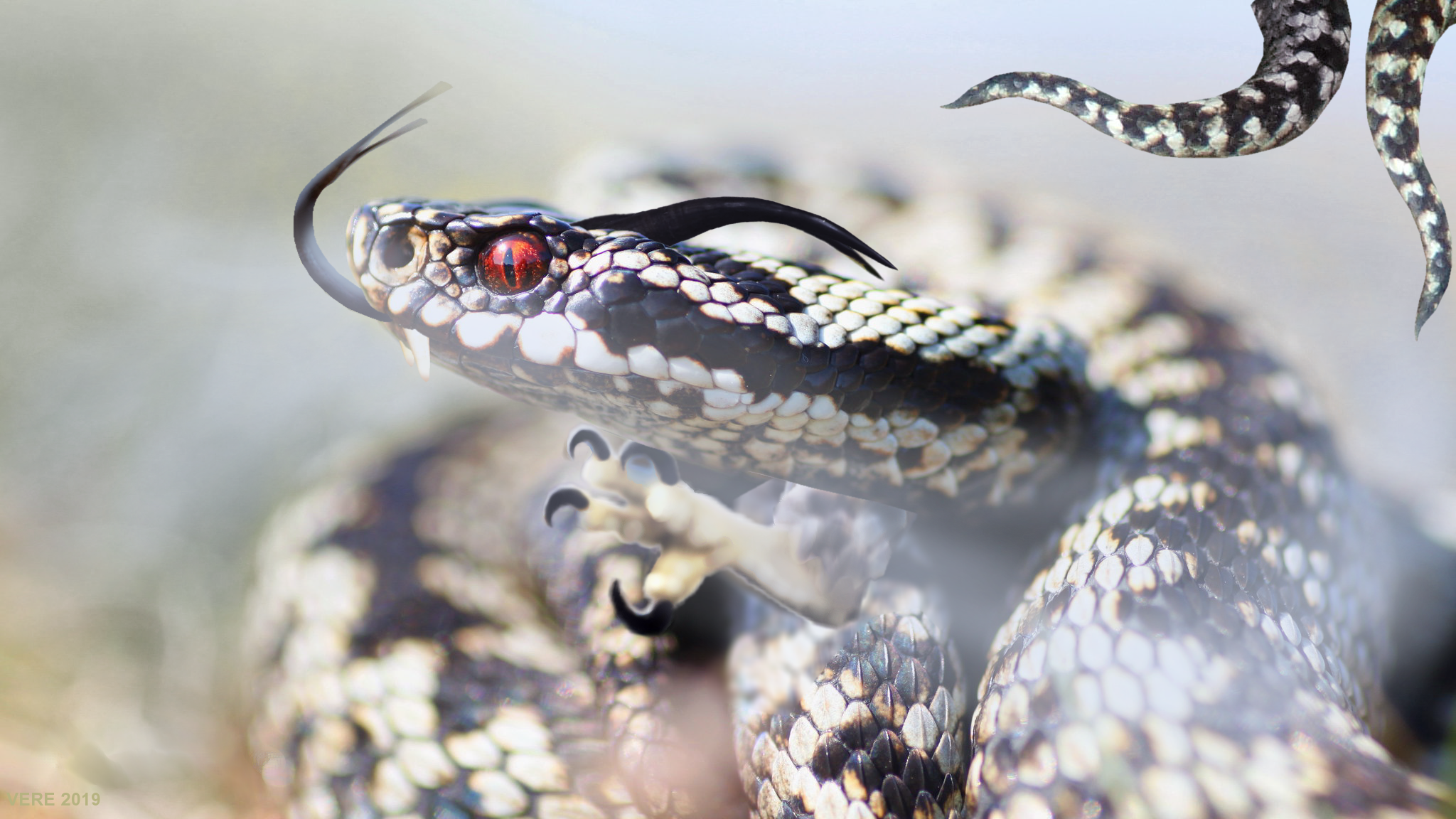 - Drekar - Vere 2019.png