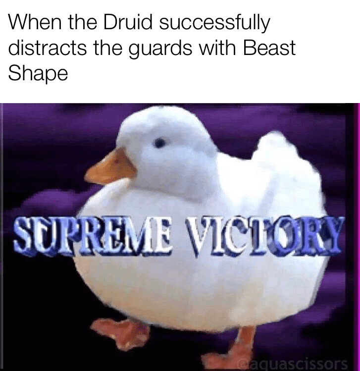 druid-successfully-distracts-guards-with-beast-shape-supreme-victory-aquascissors.png