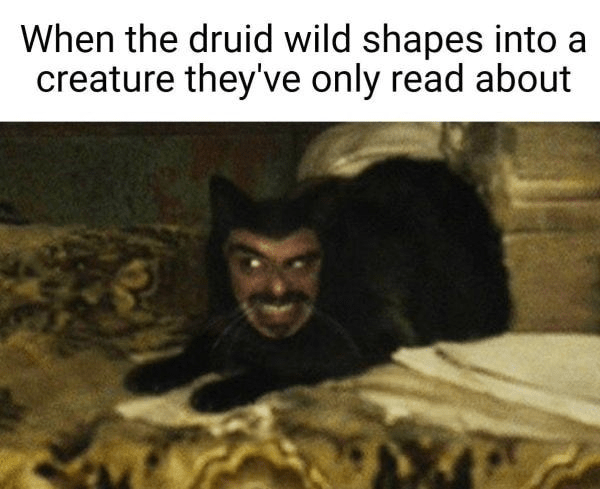 druid-wild-shapes-into-creature-theyve-only-read-about.png