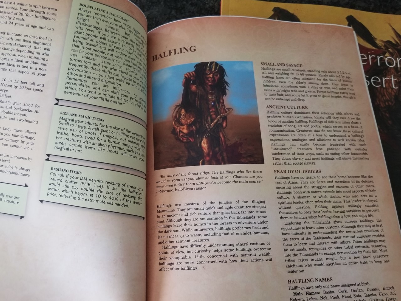 DS halfling.jpg