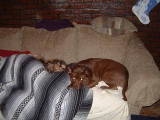 dscf0021.jpg