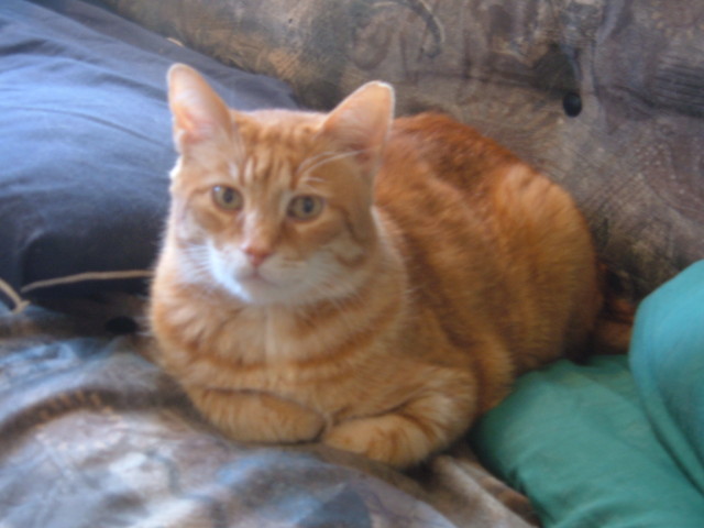 DSCF1326.jpg