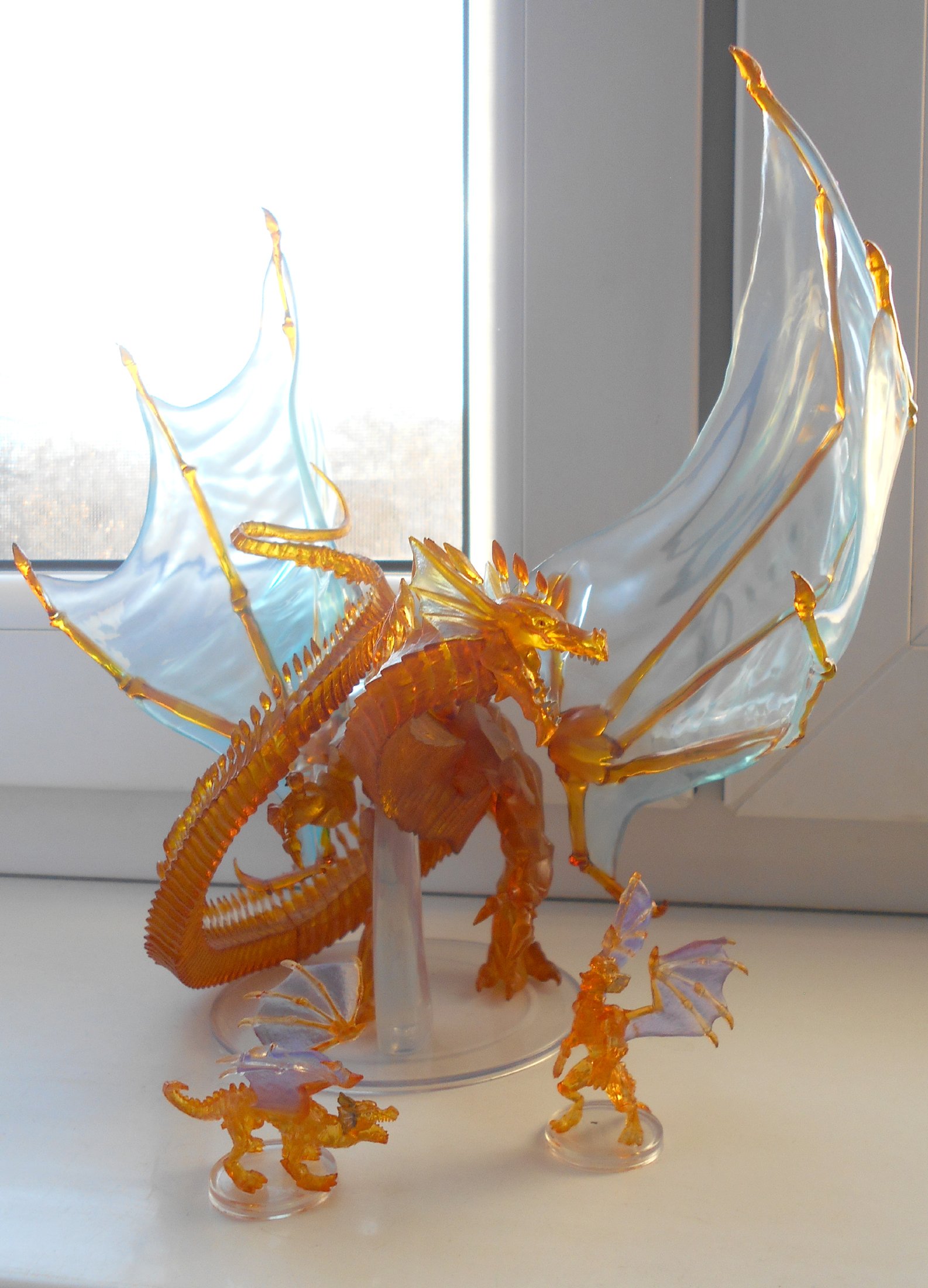 DSCN0471.jpg