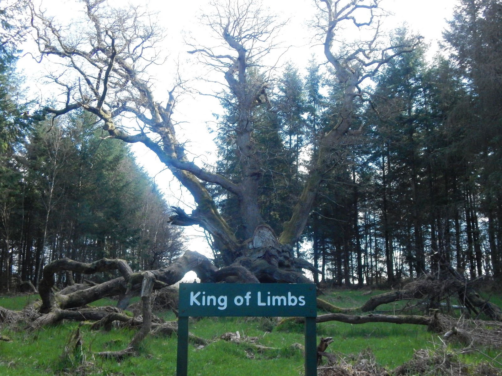 DSCN1206.JPG