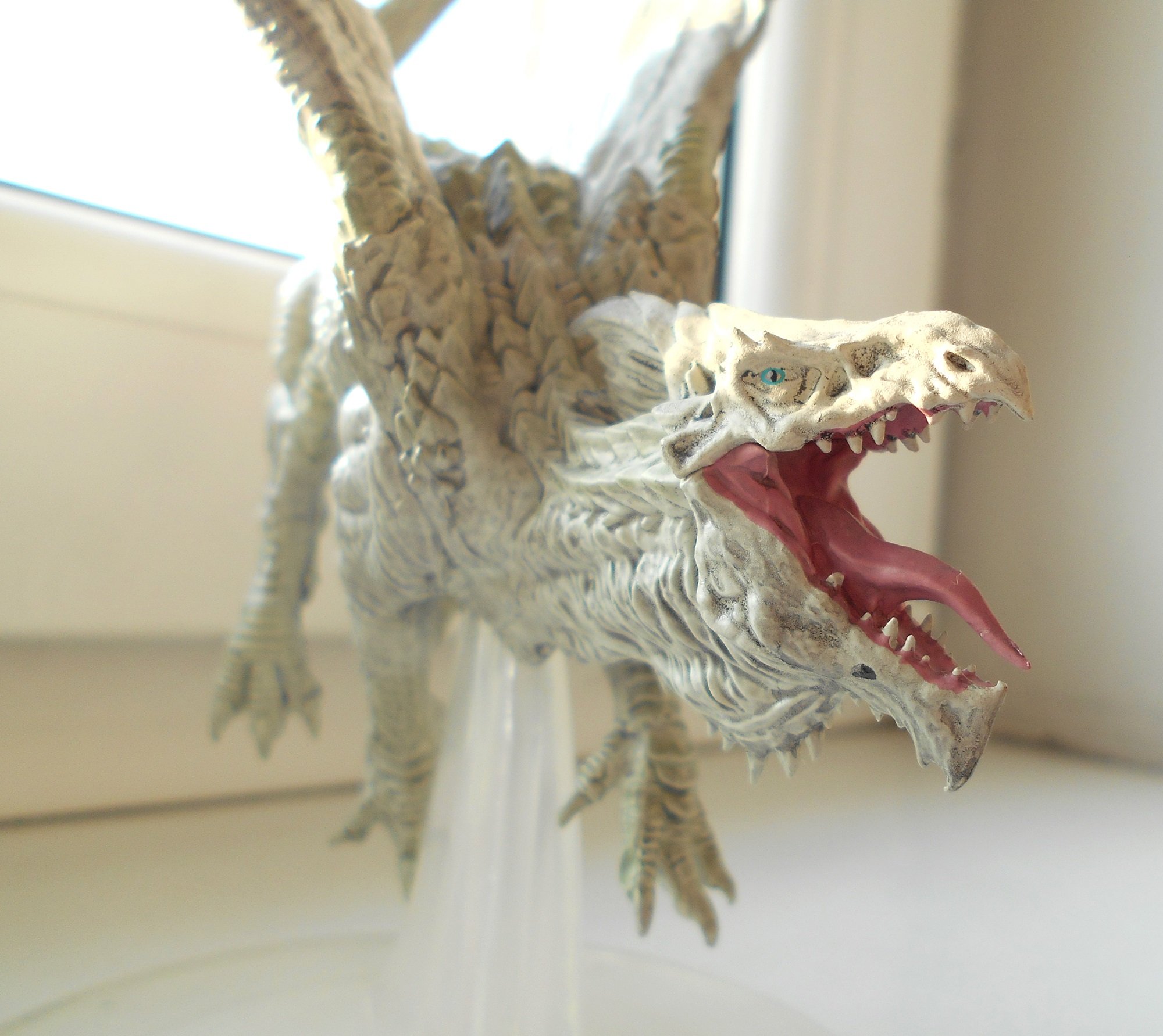 DSCN8108.jpg