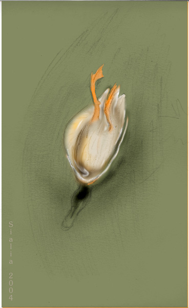 duck-still-layered.jpg