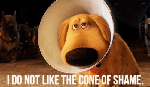 Dug-I-Do-Not-Like-The-Cone-of-Shame-Up-2009.jpg