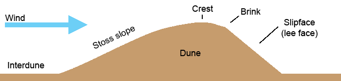 dune.png