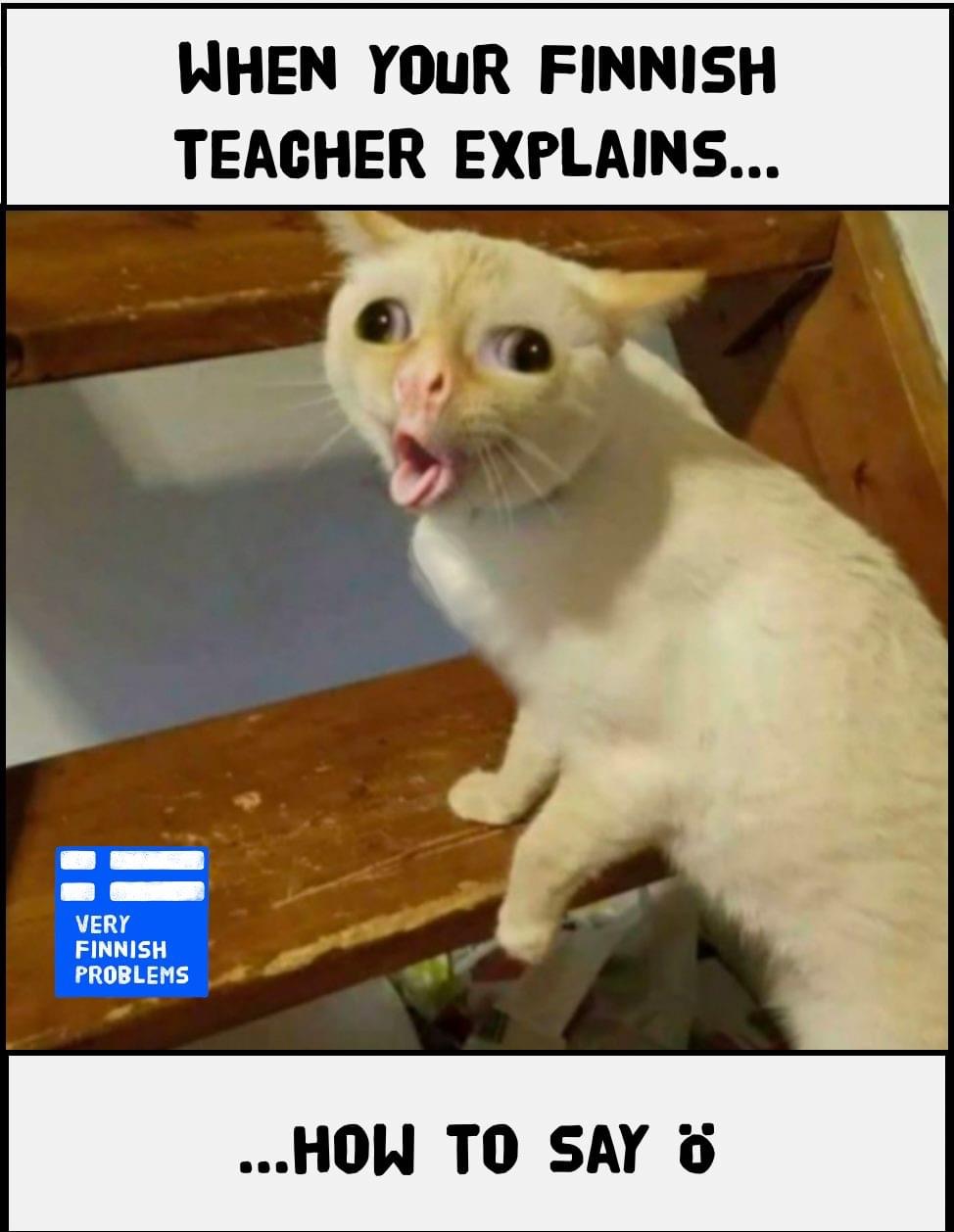 E04989F2-1EC0-474D-8AE3-EAB4C3FBD177.jpeg