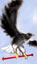 eagle3.jpg