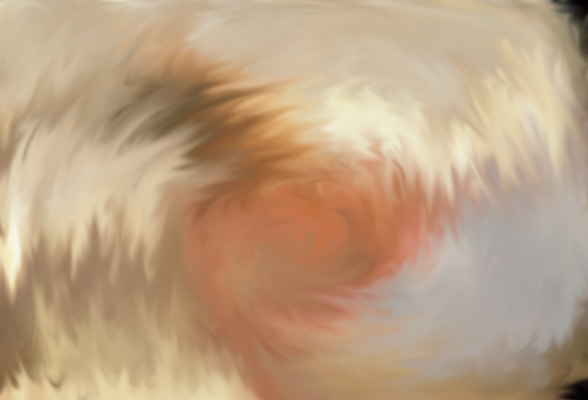 Earth, Air, Fire, Water.jpg
