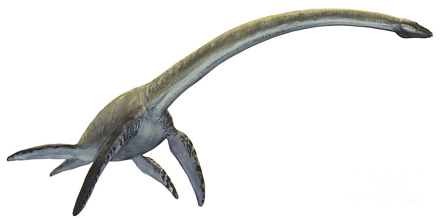 elasmosaurus-platyurus-a-prehistoric-sergey-krasovskiy.jpg