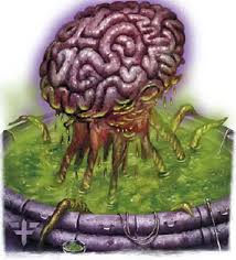 elder brain 001.jpg