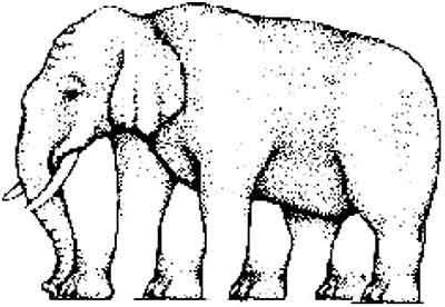elephant illusion 1.jpg