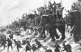 elephant, war 001.jpg