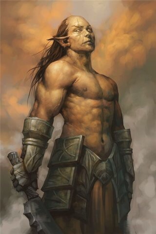 Elf Orc.jpg