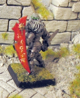 Elf Shield.jpg