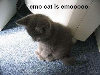 EmoLol.JPG