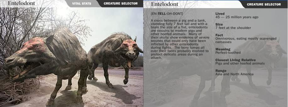 Entelodont.jpg