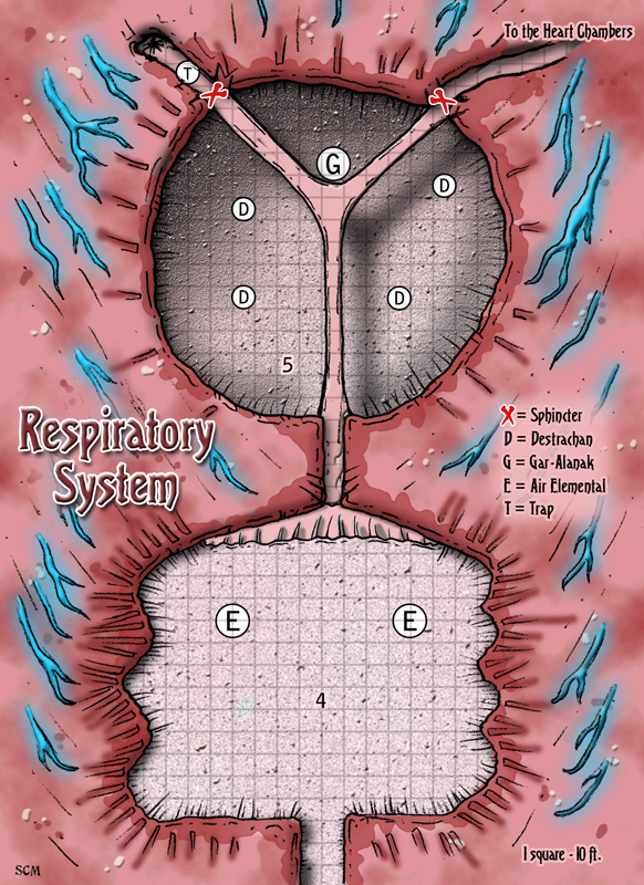 enwbs11_RespiratorySystem.jpg