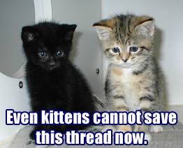 even kittens cant save.jpg