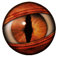 eye.gif