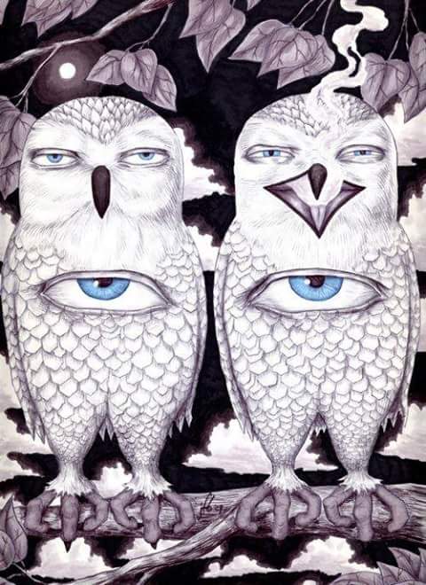 eyeball owls.jpg